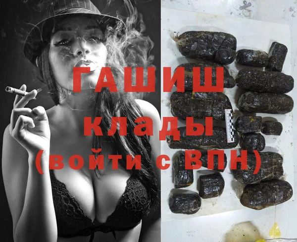 мдпв Вяземский