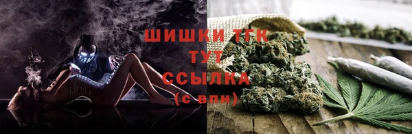 ПСИЛОЦИБИНОВЫЕ ГРИБЫ Шарыпово