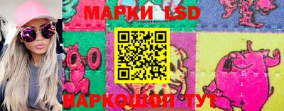 трава Гатчина