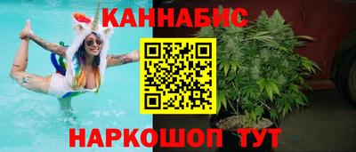 трава Гатчина