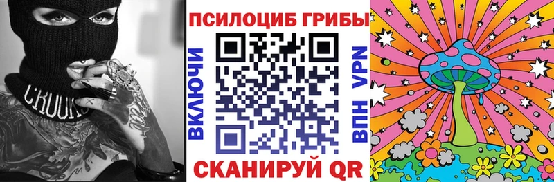 Галлюциногенные грибы мицелий  продажа наркотиков  hydra зеркало  Александров 