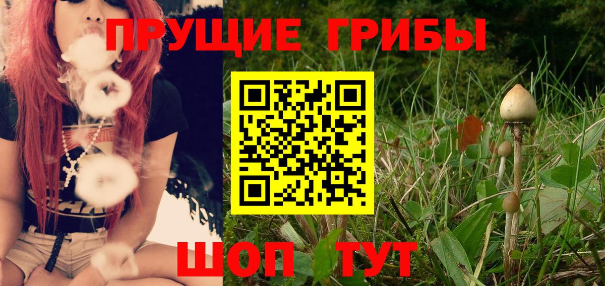 Галлюциногенные грибы MAGIC MUSHROOMS  Вход с VPN  Александров  Псилоцибиновые грибы Psilocybine cubensis 
