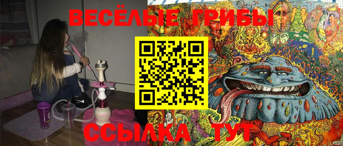 Псилоцибиновые грибы Magic Shrooms  Александров 